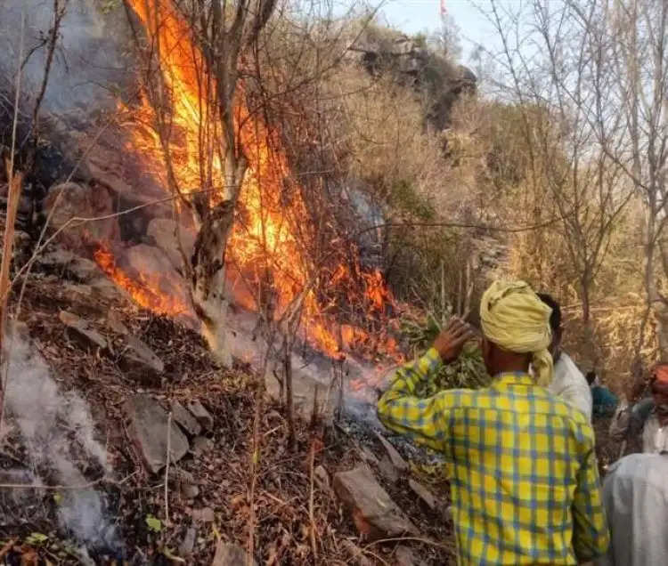 मीरजापुर के जंगलों में लगी आग, आग की वजह से वन्‍य जीवों ने किया कस्‍बों का रुख