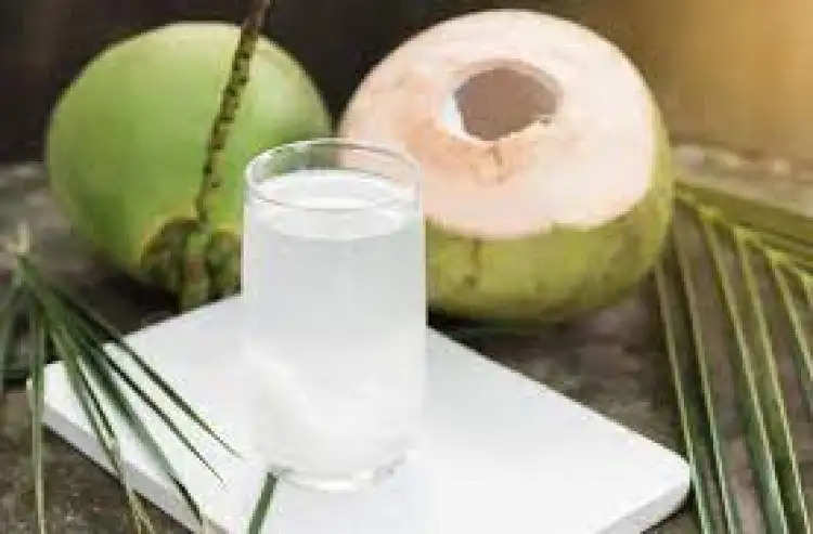 Health Tips: नारियल पानी के फायदें जान रह जाएंगे हैरान, इम्यूनिटी बढ़ाने में करता है मदद
