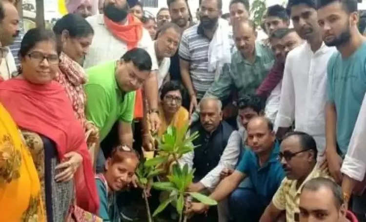 BJP विधायक ने की पौधरोपण कार्यक्रम की शुरुआत, एक करोड़ पौधे लगाने का लक्ष्य