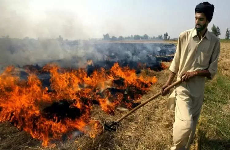 यूपी, पंजाब और हरियाणा में पराली जलाने की घटनाओं में आई कमी