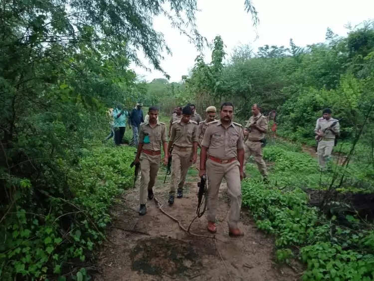 देखें वीडियो : दस्यु गौरी यादव के खिलाफ बड़ी कार्रवाई में जुटी पुलिस , घने जंगलों में कॉम्बिंग कर रहे जवान