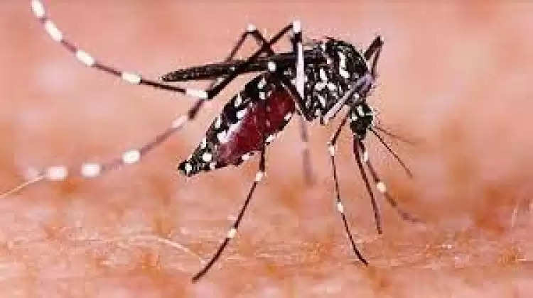 डेंगू के बाद जीका वायरस को लेकर उत्तराखंड में स्वास्थ्य विभाग का अलर्ट