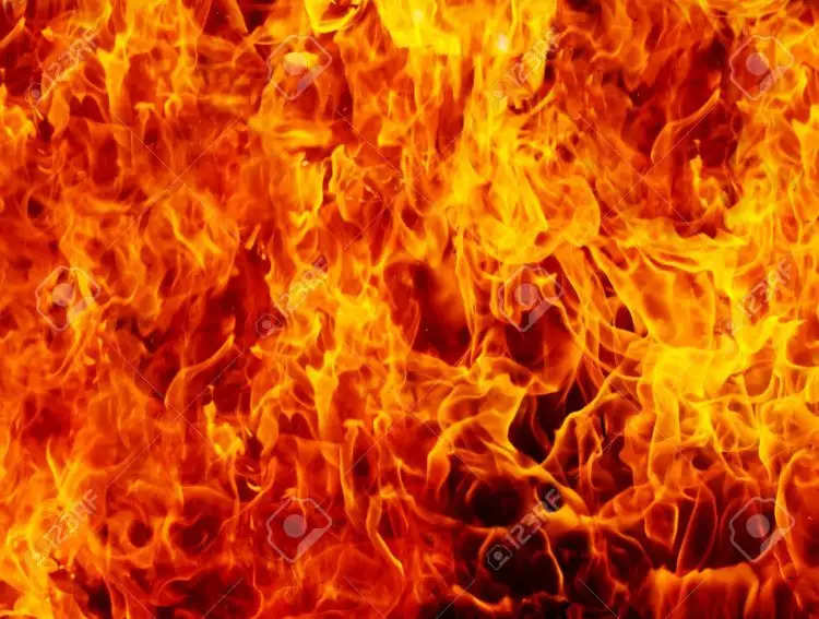 पटाखा फैक्ट्री में लगी भीषण आग, चार लोगों की मौत