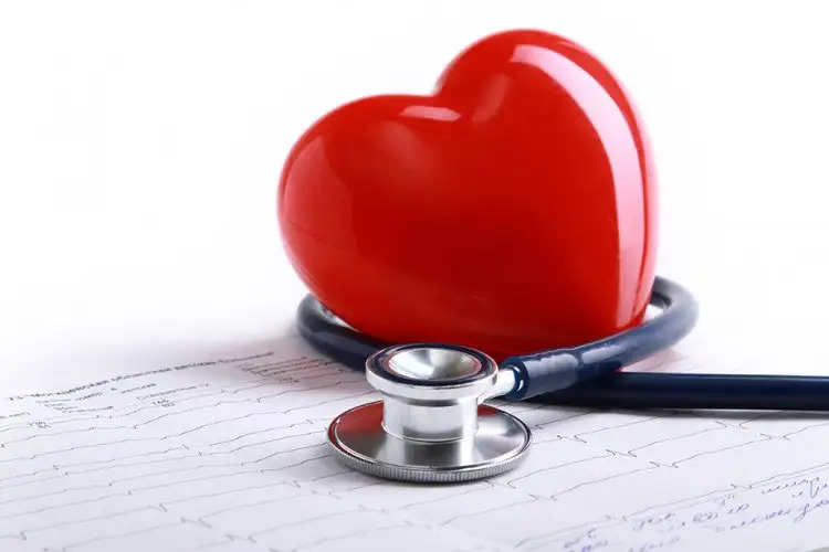 लापरवाही, गलत लाइफस्टाइल और मोटापा हैं दिल की बीमारियों की सबसे बड़ी वजह, वक्त रहते इसे करें कंट्रोल