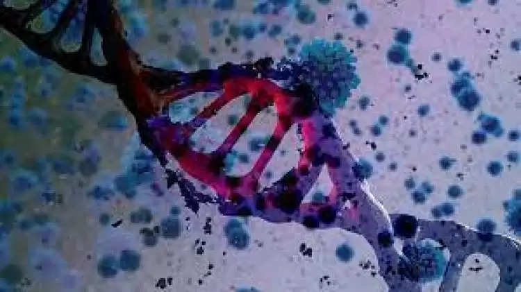 यूपी में डेल्टा प्लस वैरियंट की एंट्री , जीनोम सिक्वेंसिंग के जरिए चला पता&nbsp;
