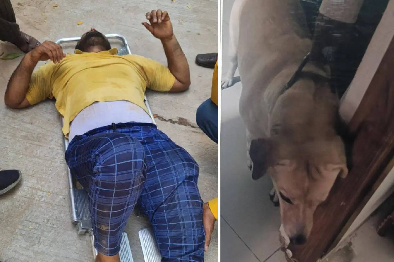 हैदराबाद में कुत्ते के हमले से बचने के लिए तीसरे फ्लोर से कूदा डिलीवरी एजेंट