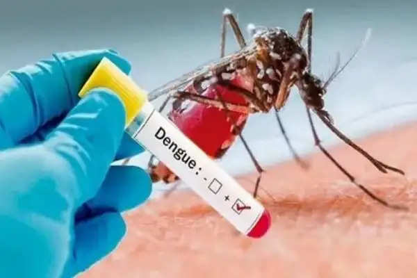 Dengue Fever: लखनऊ में बढ़ रहा डेंगू का प्रकोप, बरतें सावधानियां