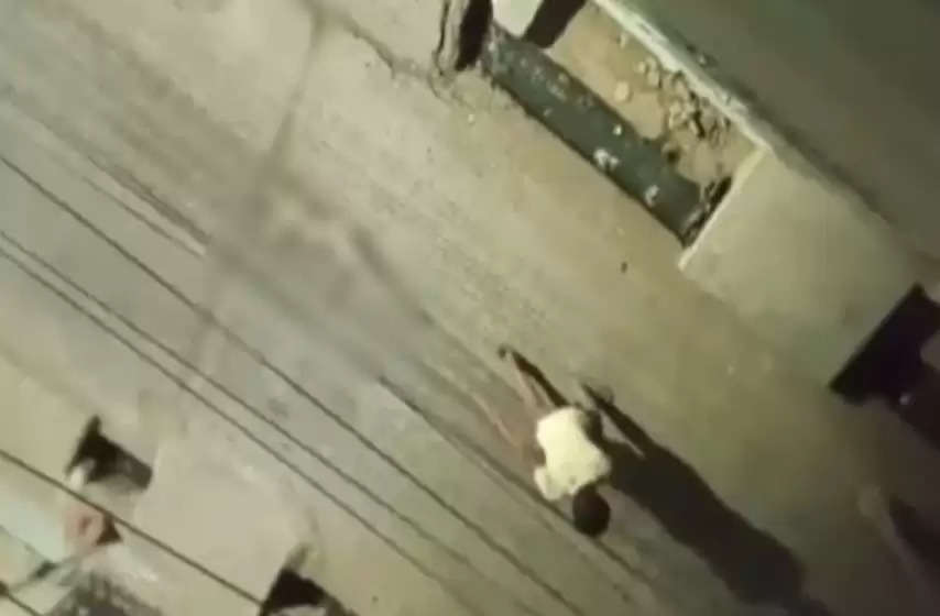 लखनऊ में कुत्ते की हत्या कर शव को बांधकर 100 मीटर घसीटा, पुलिस ने लिया एक्शन