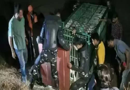 Viral Video: बुलंदशहर में मुर्गे का लालच पड़ा भारी, तेंदुए के पिंजरे में फंसा इंसान, जानें फिर क्या हुआ …