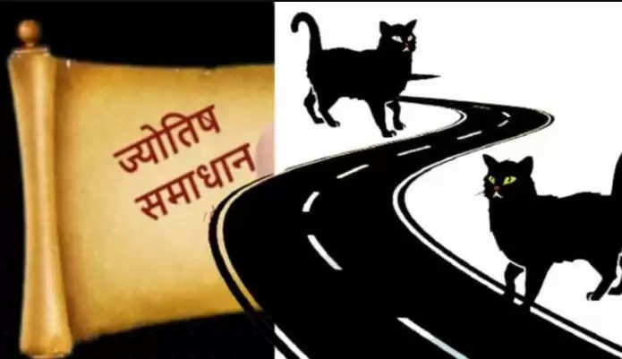 Jyotish Tips: जानें क्यों नहीं रुकना चाहिए बिल्ली के रास्ता काटने पर