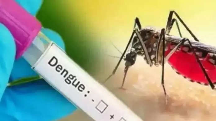 पश्चिम बंगाल में डेंगू का कहर, अब तक चार लोगों की मौत, 3500 लोग बीमार