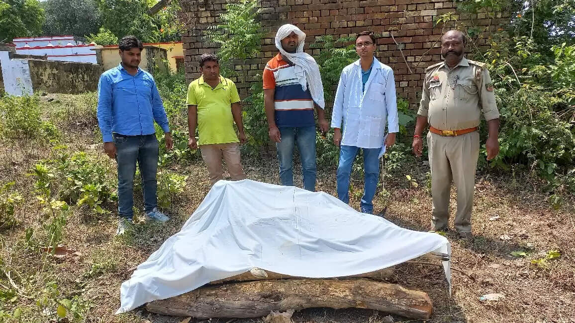 कुत्तों ने बारहसिंगा हिरन पर किया हमला, तीन दिन तक उपचार के बाद हिरन की मौत