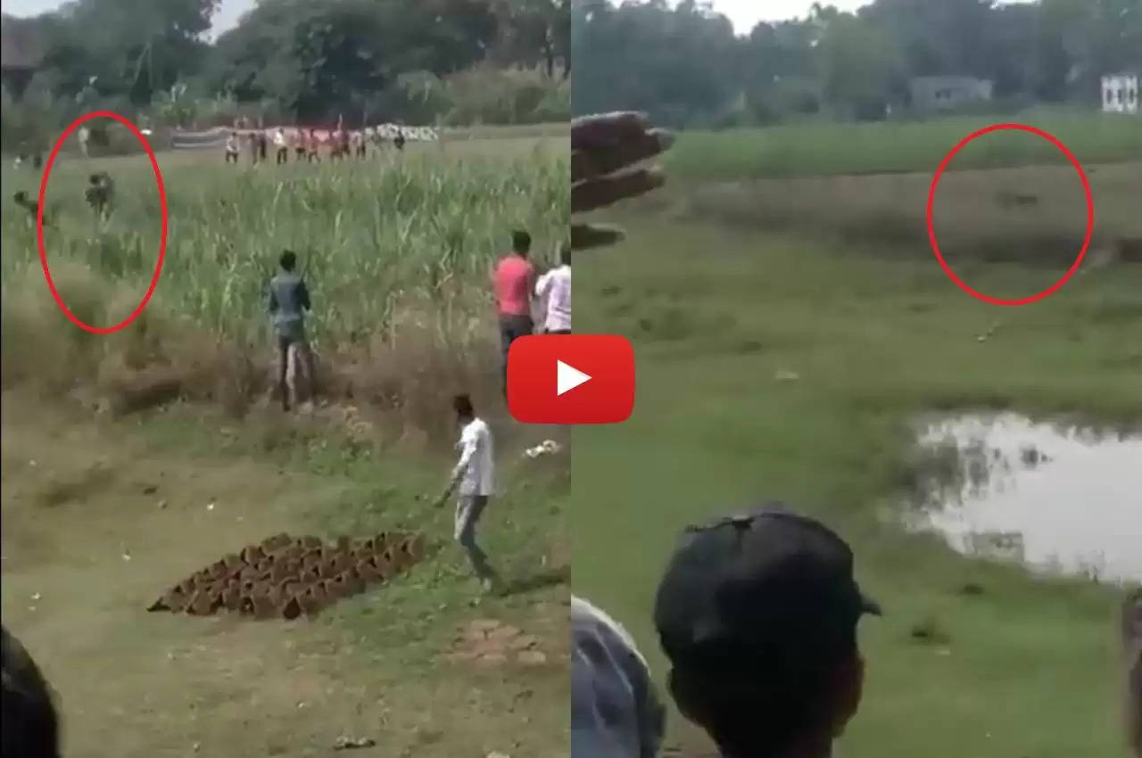 UP पीलीभीत में तेंदुए ने किसान पर किया जानलेवा हमला,  कैमरे में कैद हुई घटना 