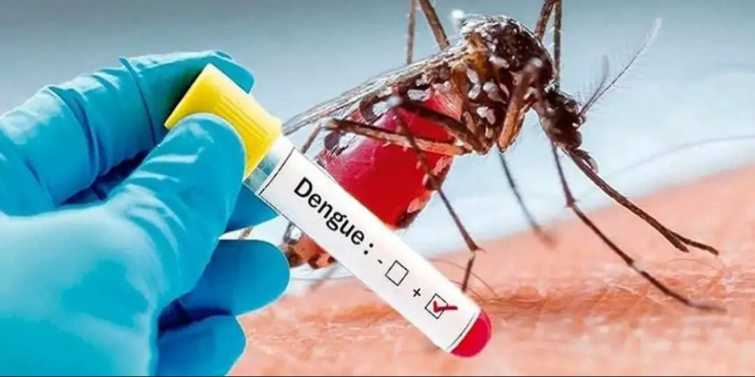 यूपी में बढ़ रहा डेंगू का प्रकोप, जानें इसके बचाव के तरीके