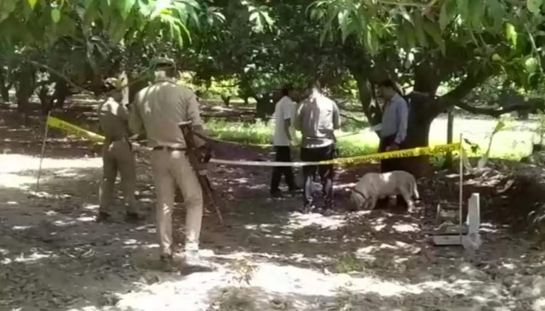 UP : उन्नाव में नाबालिग प्रेमी जोड़े का बाग में फंदे से लटके मिले शव, हत्या का लगाया आरोप