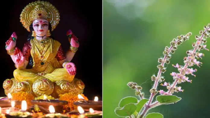तुलसी से जुड़ी इन 2 गलतियों से बर्बाद हो जाएगा पूरा परिवार! छिन जाएंगी ग्रहस्ती