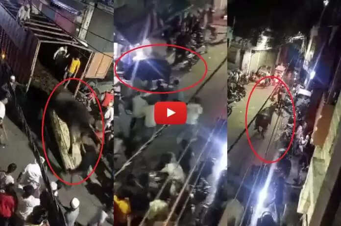 मुरादाबाद में कुर्बानी के लिए लाए भैंसे ने बाजार में मचाया उत्पात, कई लोग अस्पताल में भर्ती