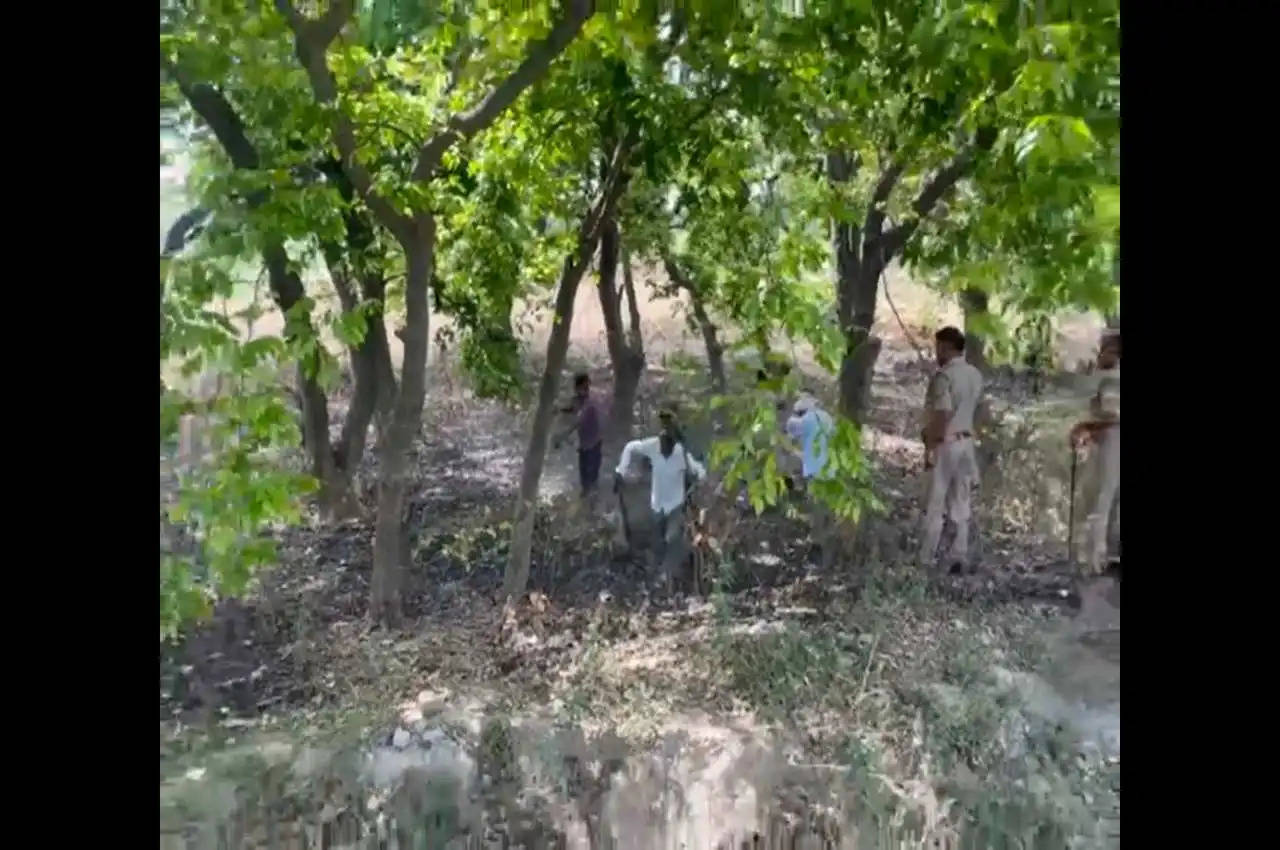 UP : हापुड़ में एक साथ 40 बंदरों की मौत, जांच में जुटी टीम