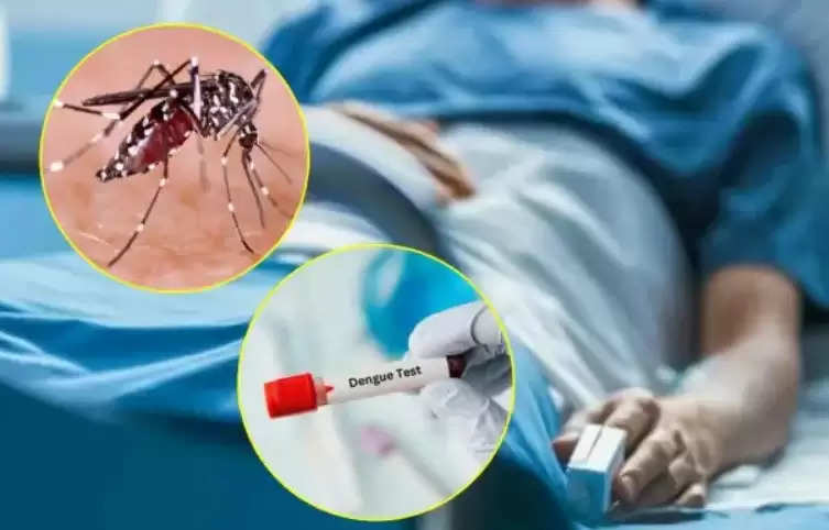 डेंगू के मरीजों की बढ़ने लगी संख्या, मलेरिया ने भी पसारे पैर, ऐसे रखें ध्यान
